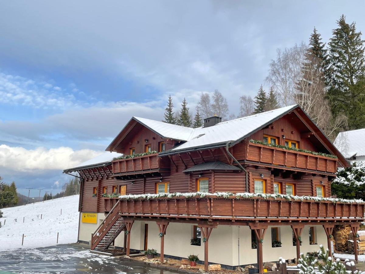 Pension Grizzly Ludvíkov Екстериор снимка