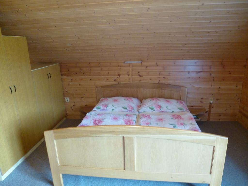 Pension Grizzly Ludvíkov Екстериор снимка