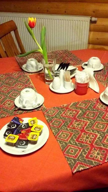 Pension Grizzly Ludvíkov Екстериор снимка